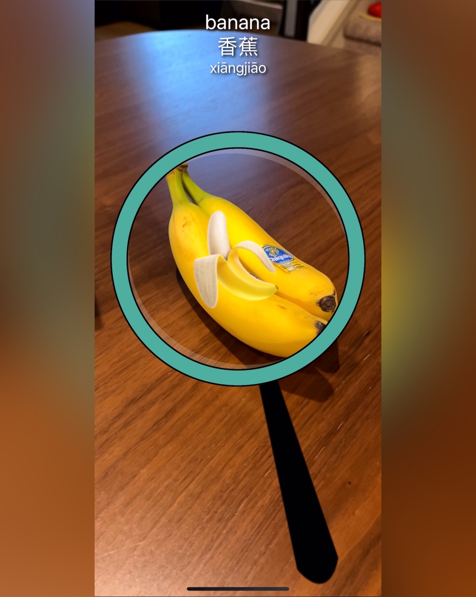 Scavenger Hunt activity preview